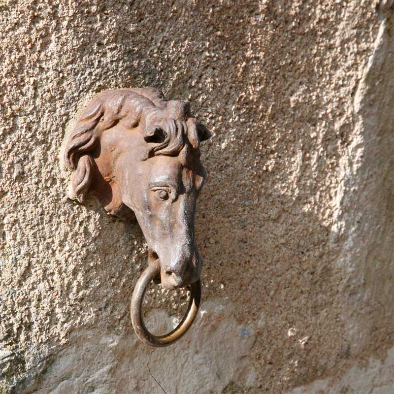 w-Vezelay-attache_cheval64