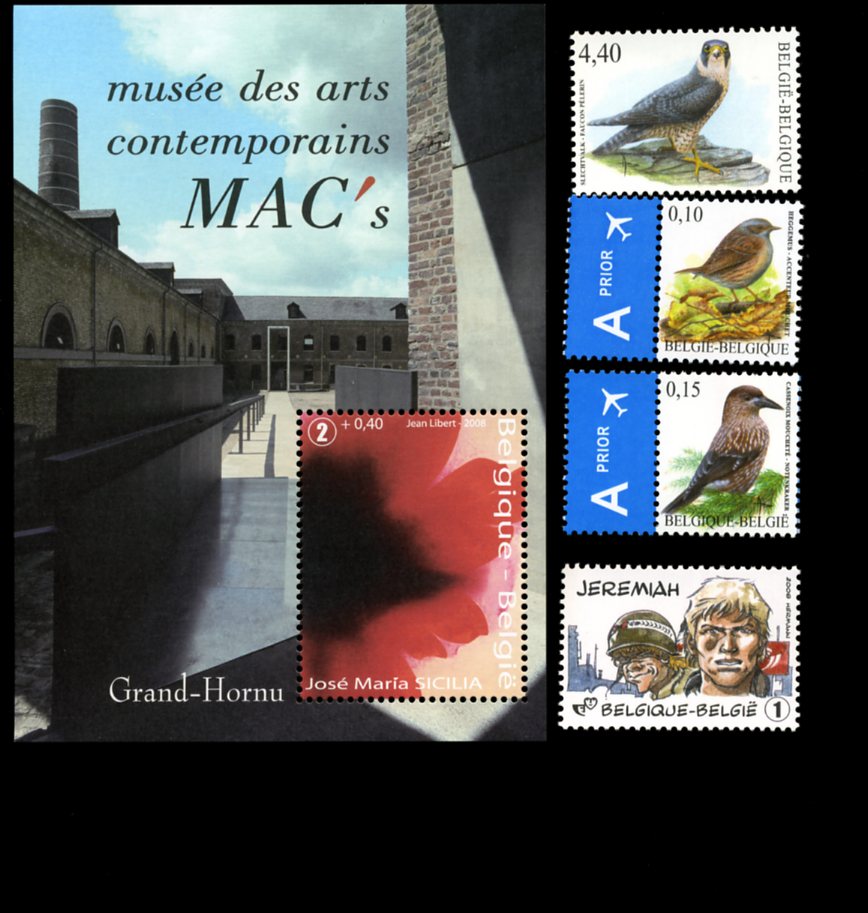 Belgique-jeu2008++003