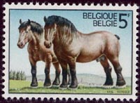 1810 cheval ardennais