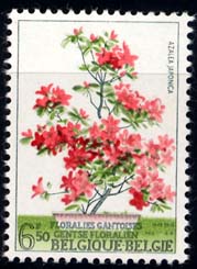 1751 Azalea Japonica